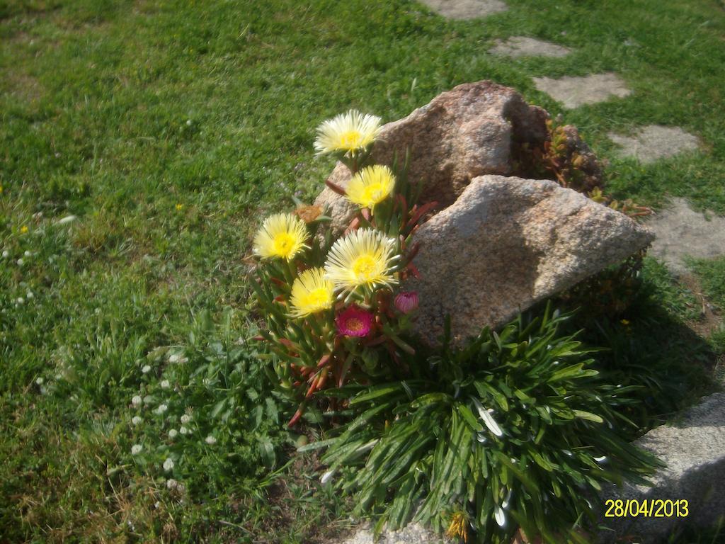 Agriturismo Spridda Bed and Breakfast Arzachena Exterior foto
