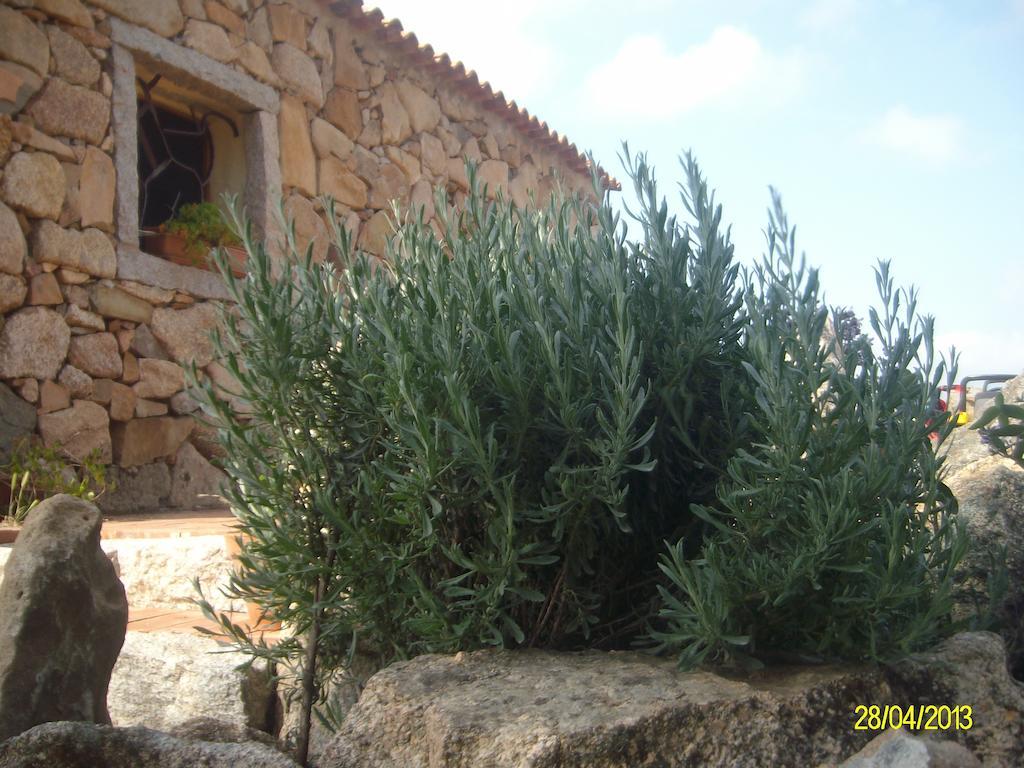 Agriturismo Spridda Bed and Breakfast Arzachena Exterior foto